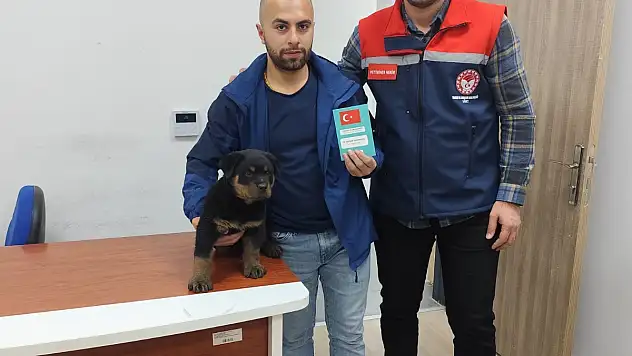 Siirt'te Evcil Hayvanlar İçin Kimliklendirme Uyarısı!