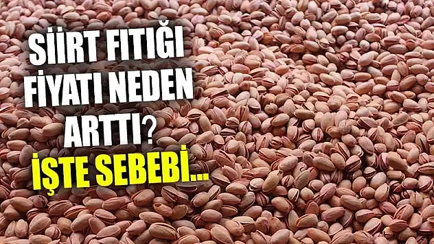 Siirt'te Fıstık Fiyatlarının Artış Nedeni!