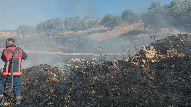 Siirt'te Fıstık Üretiminin Merkezinde Korkutan Yangın