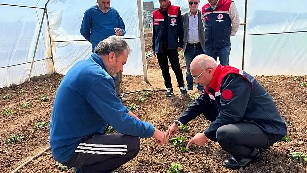 Siirt'te GAP Destekli Sera Projesiyle Üreticilere Ziyaret
