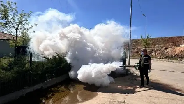 Siirt'te Haşere Sorunu Büyüyor!