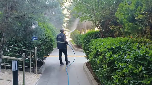 Siirt'te Haşereye Karşı Gece İlaçlaması