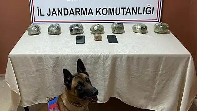 Siirt'te Jandarma'dan Dev Uyuşturucu Operasyonu