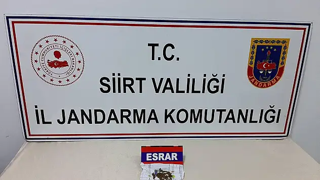Siirt'te Jandarma'dan Şok Çember Operasyonu (VİDEOLU HABER)