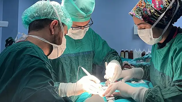 Siirt'te Kaburgadan Kıkırdak Alınarak Burun Estetiği Ameliyatı Yapıldı