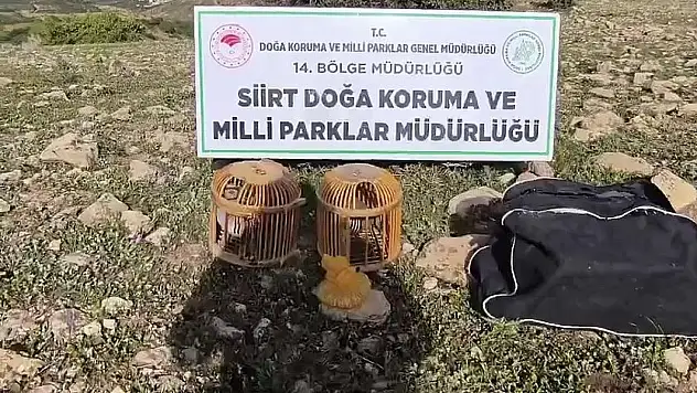Siirt'te Kaçak Avcılığa Geçit Yok