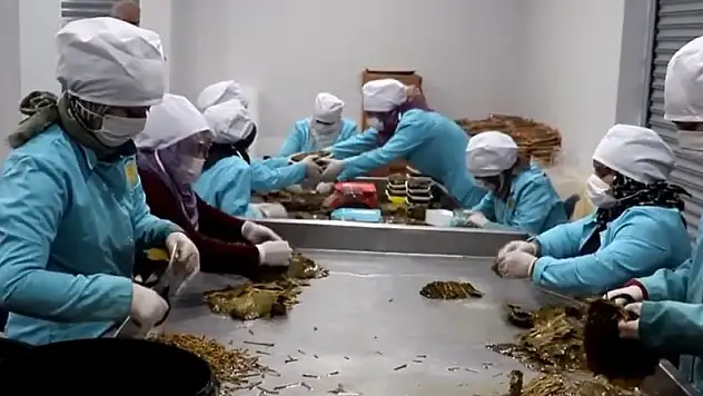 Siirt'te Kadın Kooperatifleri Artıyor