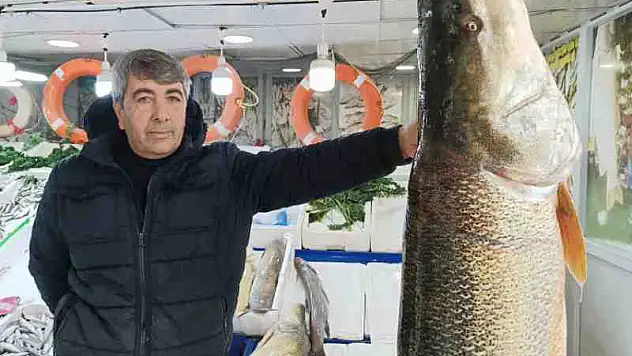 Siirt'te Keban Balığına Rağbet