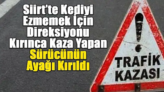 Siirt'te Kediyi Ezmemek İçin Direksiyonu Kırınca Kaza Yapan Sürücünün Ayağı Kırıldı