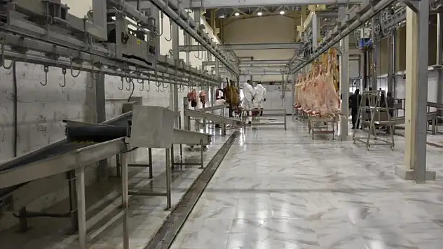 Siirt'te Kesimhanelere Kamera Zorunluluğu!