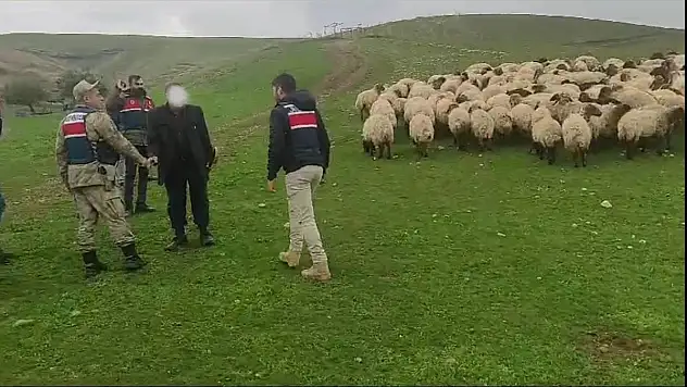 Siirt'te Küçükbaş Hayvan Hırsızları Yakalandı