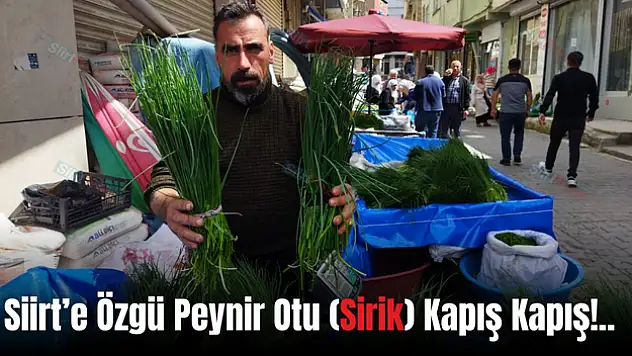 Siirt'te Peynir Otuna Büyük Rağbet