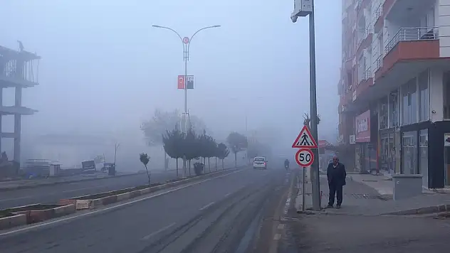 Siirt'te Sis Görüş Mesafesini Düşürdü!