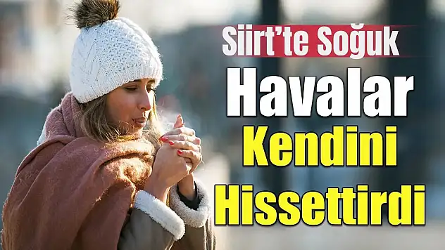 Siirt'te Soğuk Havalar Kendini İyice Hissettirdi!