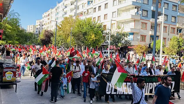 Siirt'te 'Soykırıma Lanet Direnişe Selam' Yürüyüşü