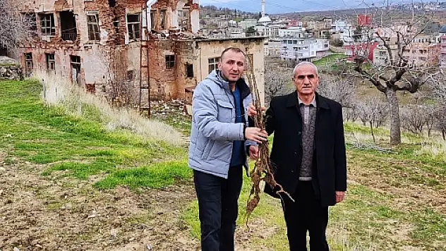 Siirt'te Sumak Fidanı Dağıtımı Yapıldı