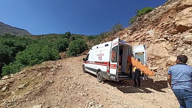 Siirt'te Süt Sağmaktan Dönen 60 Yaşındaki Kadın Attan Düşerek Yaralandı