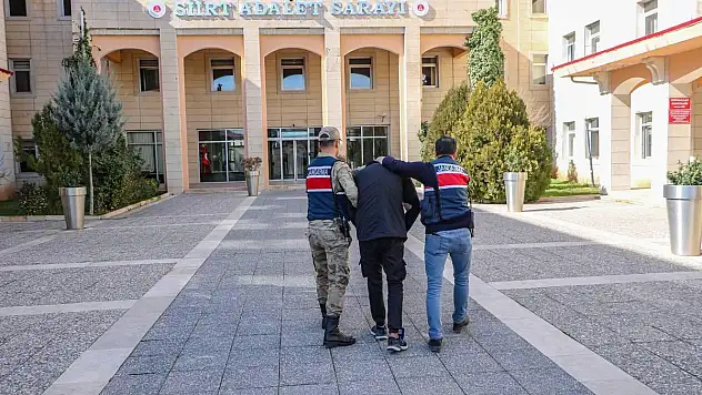 Siirt'te Terör Örgütü Üyesi, Sahte Kimlikle Gizlendiği Adreste Yakalandı (VİDEOLU HABER)