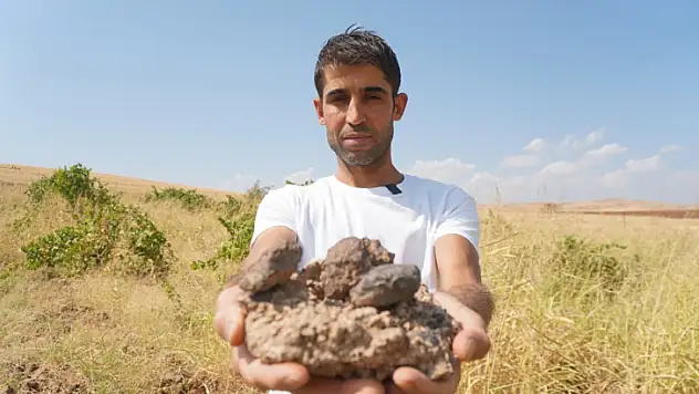 Siirt'te Üzüm Bağında Bulduğu 'Gök Taşını' 12 Milyon TL'ye Satışa Çıkardı!