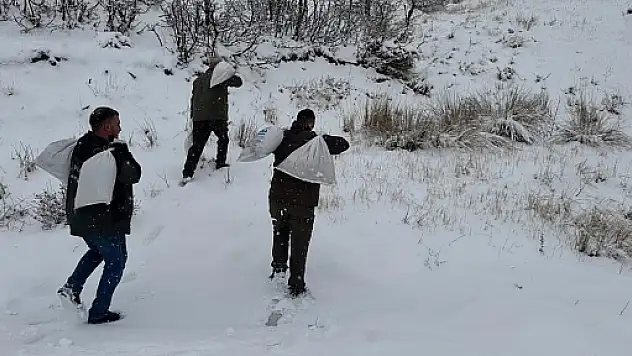 Siirt'te Yaban Hayvanları İçin Doğaya Yem Bırakıldı