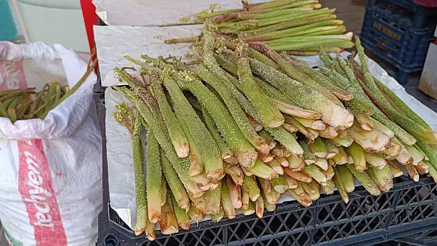 Siirt'te, Yayla Muzu Olarak Bilinen Işkın Cep Yakıyor