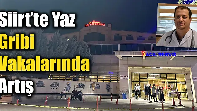 Siirt'te Yaz Gribi Vakalarında Artış