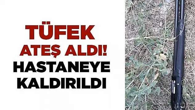 Siirt'te Yere Düşen Tüfek Sahibini Yaraladı