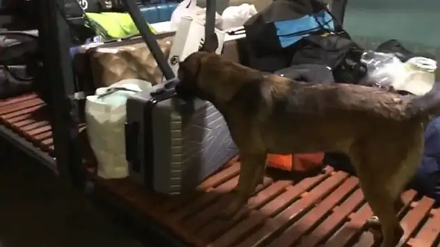 Siirt'te Yolcu Otobüsünde Uyuşturucu Ele Geçirildi