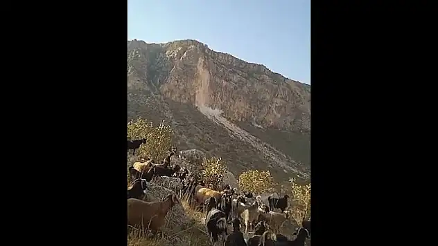 Siirt'teki Deprem Anı Çobanın Kamerasına Yansıdı!