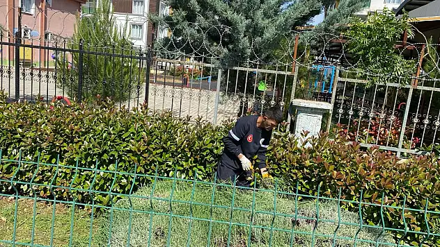 Siirt'teki Park, Bahçelerde Temizlik ve Çim Biçme Çalışmaları Başlatıldı