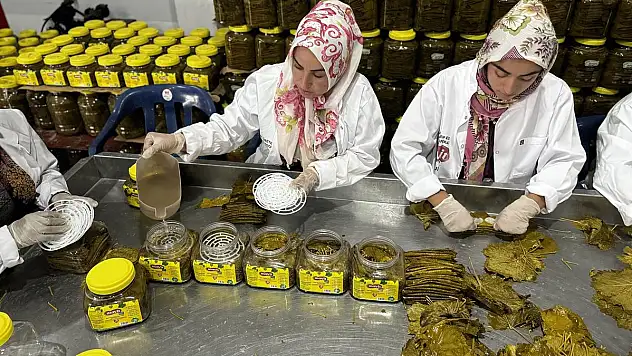 Siirt'ten Avustralya'ya 25 Ton Salamura Yaprak İhraç Edildi