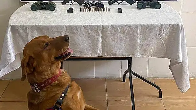 ''Silah ve Mühimmat Kaçakçılığı'' Yapan Şahıslara Yönelik Operasyon