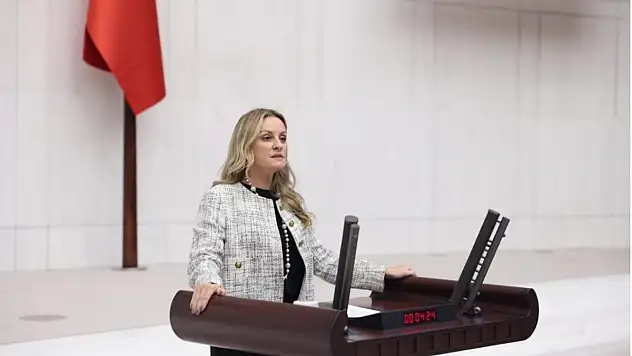 Sınırdan Dönen Kuru İncir Meclis Gündeminde