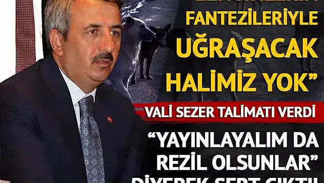 Şirvan Eski Kaymakamı ve Edirne Valisi Yunus Sezer: 'Edirne Genelinde Başıboş Köpek İstemiyorum'