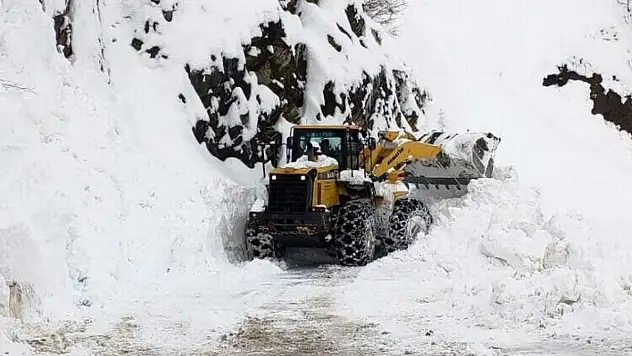 Siirt Valiliği Siirt İçin Çığ Uyarısında Bulundu