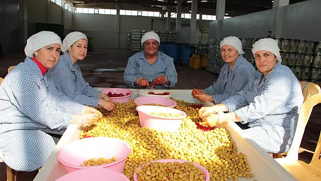 Sofralık zeytin ihracatı 200 milyon dolara koşuyor