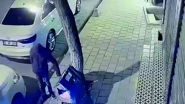 Sokak Kedilerine Saldırı!