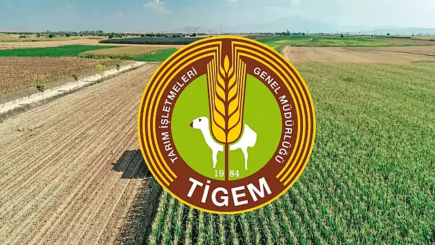 Tarım işletmelerine 254 personel alınacak: Kadrolar, şehirler ve şartlar açıklandı