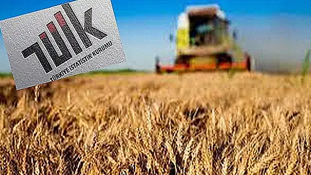 Tarım Ürünleri Üretici Fiyat Endeksi Açıklandı