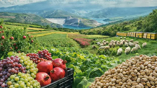 Tarım ve Orman Bakanlığı Siirt'i Haritaya Koydu: Fıstıktan Kırmızı Mercimeğe, Arıcılıktan Su Ürünlerine Yatırım Fırsatları Belgelendi