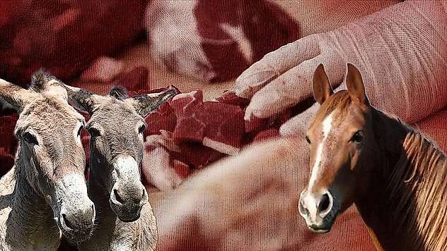 Tarım ve Orman Bakanlığı Yeni Listeyi Açıkladı: At ve Eşek Eti Tespit Edilen Firmalar İfşa Edildi