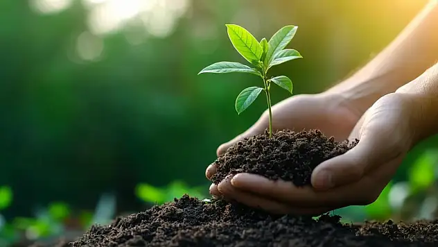  TEMA Vakfı: 'Toprağa Özen Göster, Gelecek İçin Ölç, İzle, Yönet!'