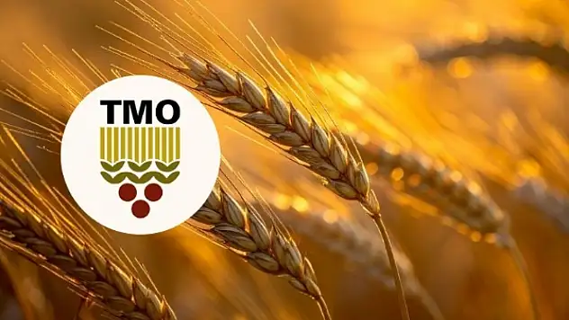 TMO Kurtalan Ajans Amirliği 2026 Yılı Hububat Alım Randevu Tarihini Açıkladı