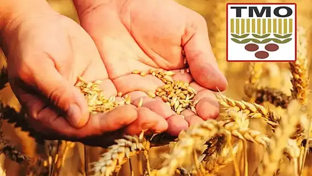 TMO Ödemeleri 30 Günde Yapılması Gerekirken, 45-50 Günü Buluyor