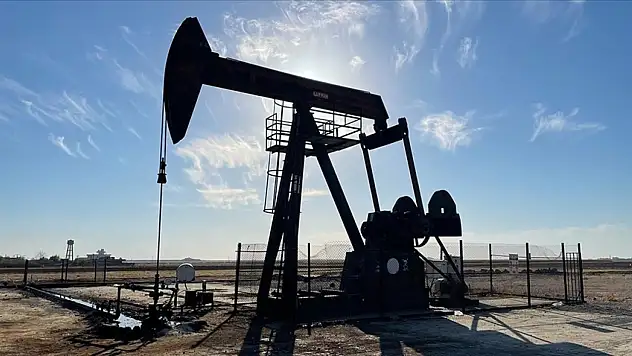 TPAO, Siirt'te petrol arama süresini uzatmak için başvurdu