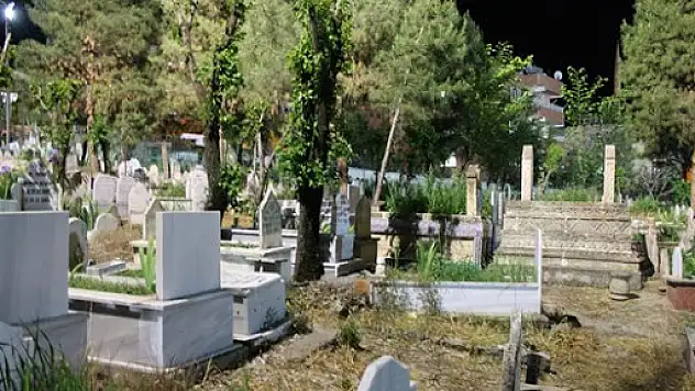 TÜİK'in Siirt İle İlgili  Doğum-Ölüm ve Hastalık İstatistiği!