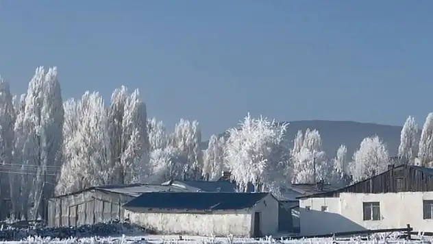 Türkiye buz kesti: En soğuk noktası Bitlis'te ölçüldü