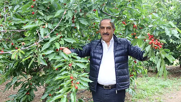 Türkiye Kiraz İhracatından 300 Milyon Dolar Döviz Hedefliyor