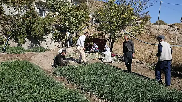 Ulaştı Köyü'nün Seracılık Başarısı