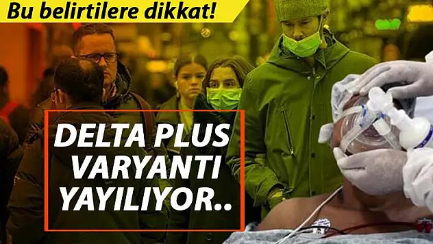 VALİ HACIBEKTAŞOĞLU AÇIKLADI SİİRT'TE VAKALARIN YÜZDE 80'İ DELTA